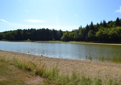 Bois de la Brosse