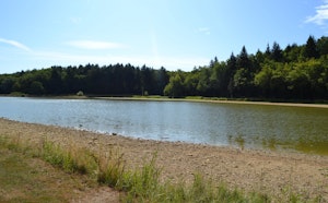 Bois de la Brosse