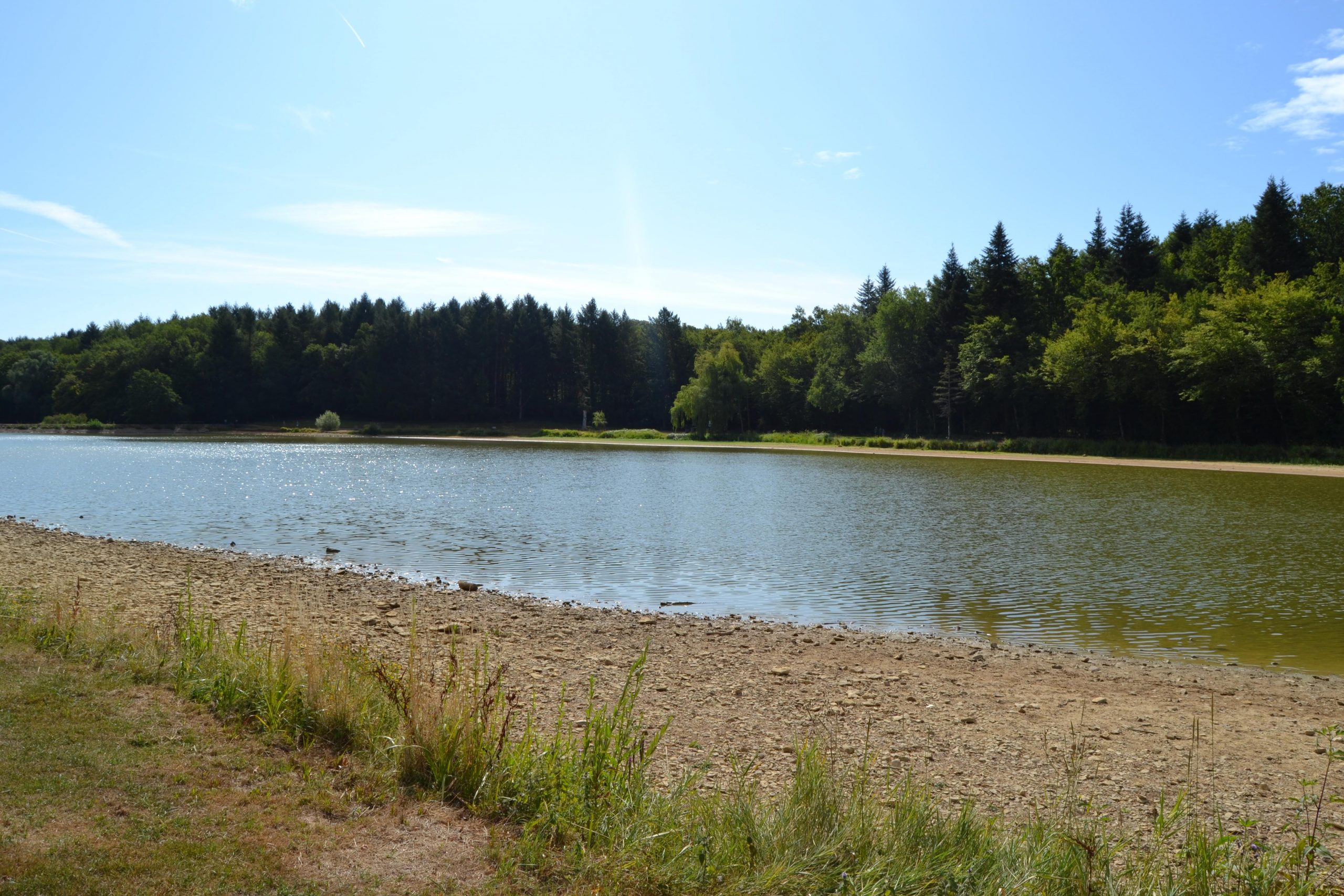Bois de la Brosse