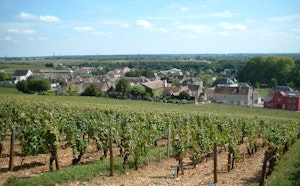 Bois de Premeaux-Prissey