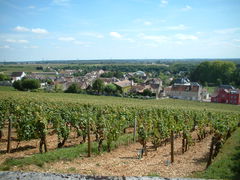 Bois de Premeaux-Prissey