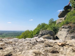 Camp de César