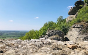 Camp de César