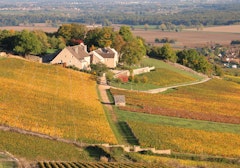 Cellier aux Moines and Cortiambles