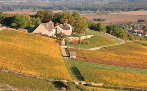 Cellier aux Moines and Cortiambles