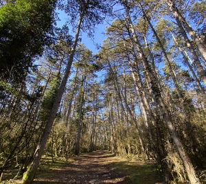 Tour de la montagne de Beaune