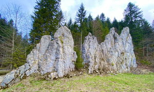 Chemin des Contrebandiers