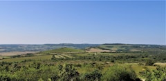Circuit des Crêtes de Santenay