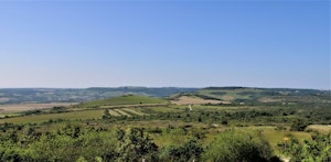 Circuit des Crêtes de Santenay
