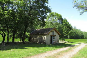 Circuit des Pelouses