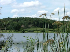 Étang de Brandon