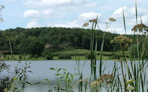 Étang de Brandon