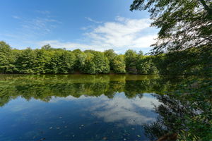 Étang Déchaudey en boucle