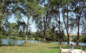 Étang du Pâquis