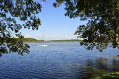 Étang de Vaux and Baye