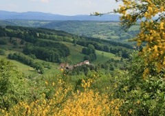 Farms of La Rosiere