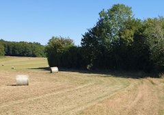 Forêt aux Moines