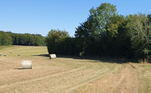 Forêt aux Moines