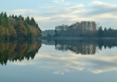 Forêt de Planoise and Étang du Martinet