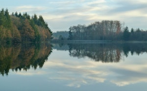 Forêt de Planoise and Étang du Martinet