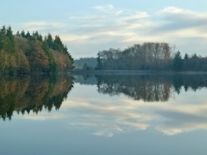 Forêt de Planoise and Étang du Martinet