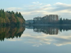 Forêt de Planoise and Étang du Martinet