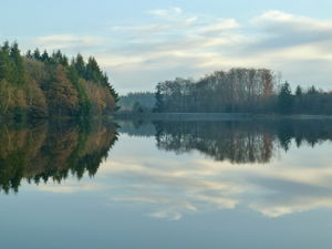 Forêt de Planoise et étang du Martinet