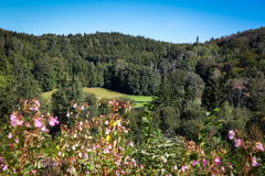 Forêt de Saint-Bresson