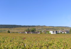 Between Pommard and Bouze-lès-Beaune