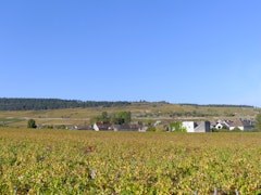 Between Pommard and Bouze-lès-Beaune