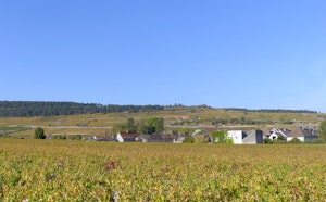 Between Pommard and Bouze-lès-Beaune