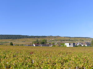 Between Pommard and Bouze-lès-Beaune