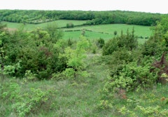 From Vincelles to Montceaux-Ragny
