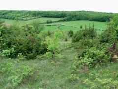 From Vincelles to Montceaux-Ragny