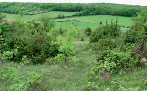 From Vincelles to Montceaux-Ragny