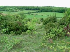 From Vincelles to Montceaux-Ragny