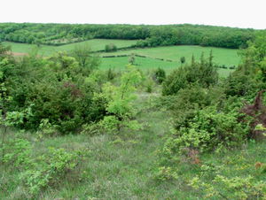 De Vincelles à Montceaux-Ragny
