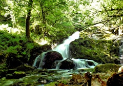 Gorges de la Canche