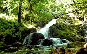 Gorges de la Canche