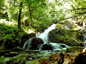 Gorges de la Canche