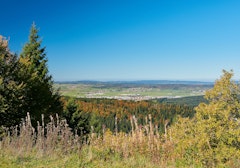 Grand Taureau