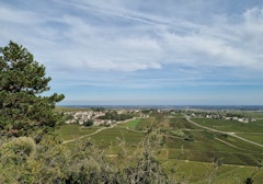 Heights of Auxey-Duresses
