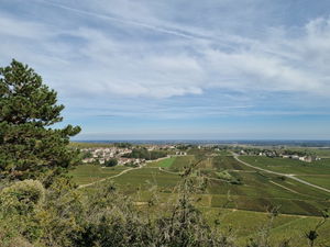 Heights of Auxey-Duresses