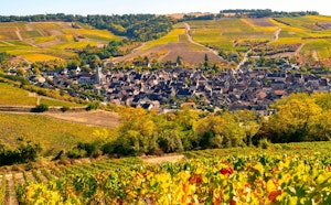 Heights of Chablis