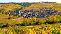 Heights of Chablis