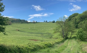 Heights of Cluny