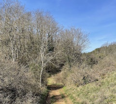 Heights of Fontaine-lès-Dijon