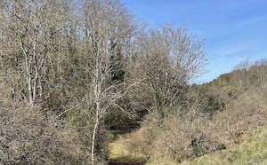 Heights of Fontaine-lès-Dijon