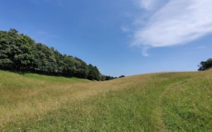 Heights of Lajoux