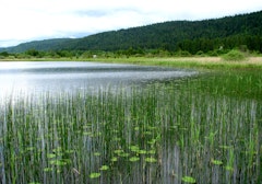 Lac des Rouges Truites